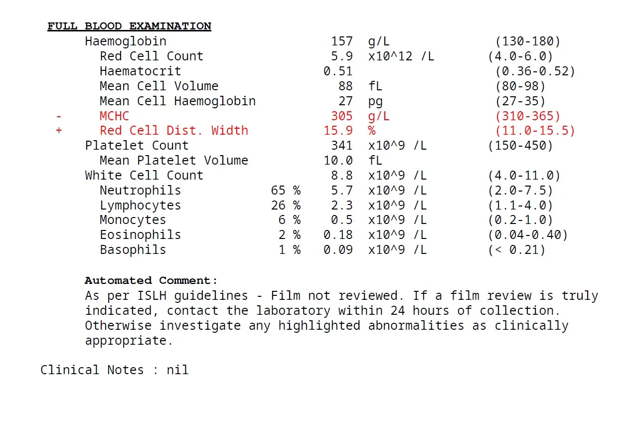 6.webp