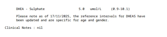 7.webp