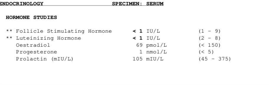 blood work 2.webp