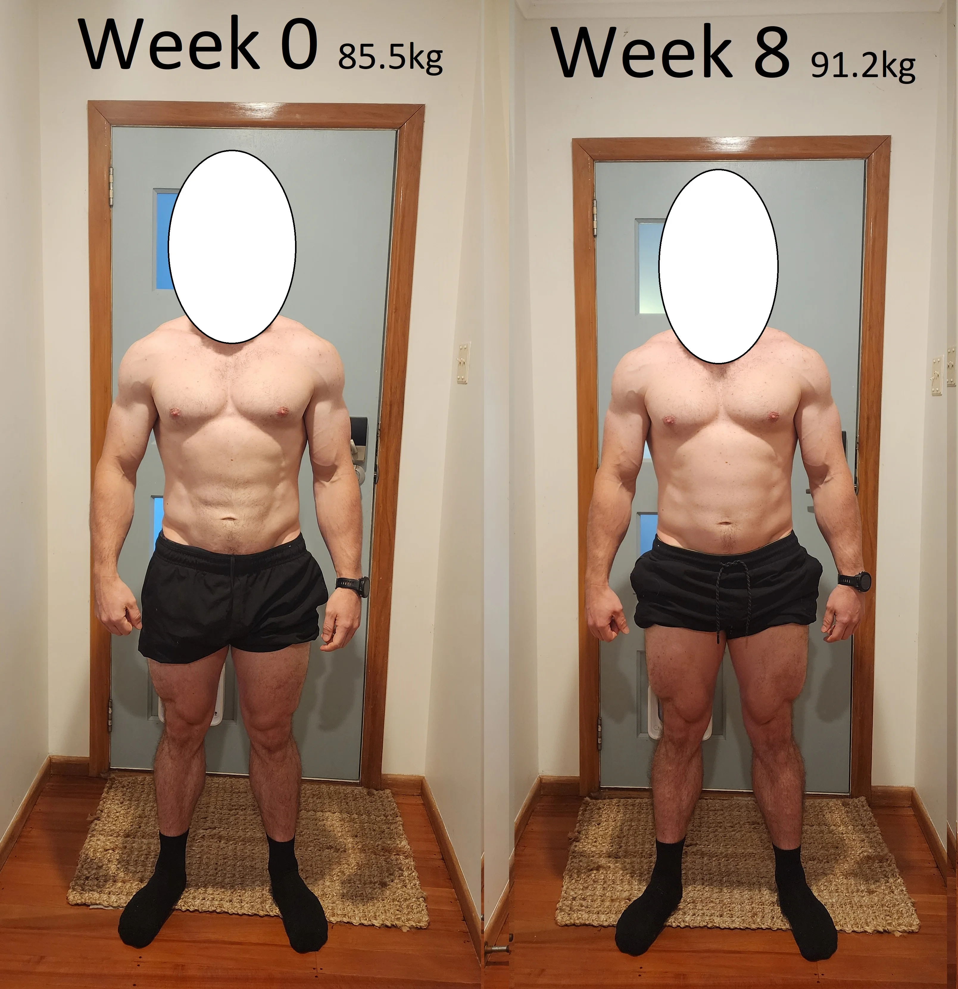 Comparison 1.webp