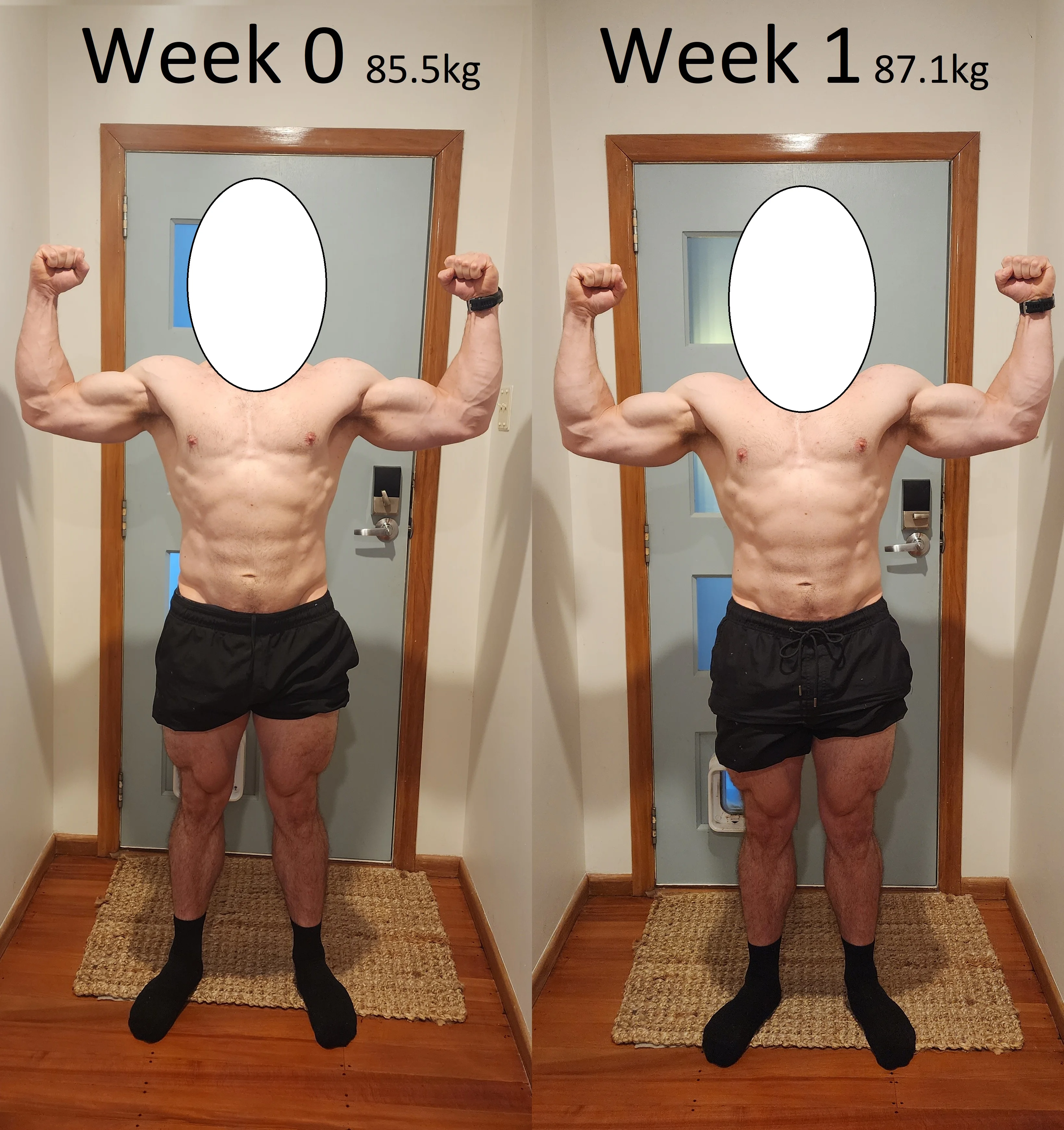 Comparison 2.webp