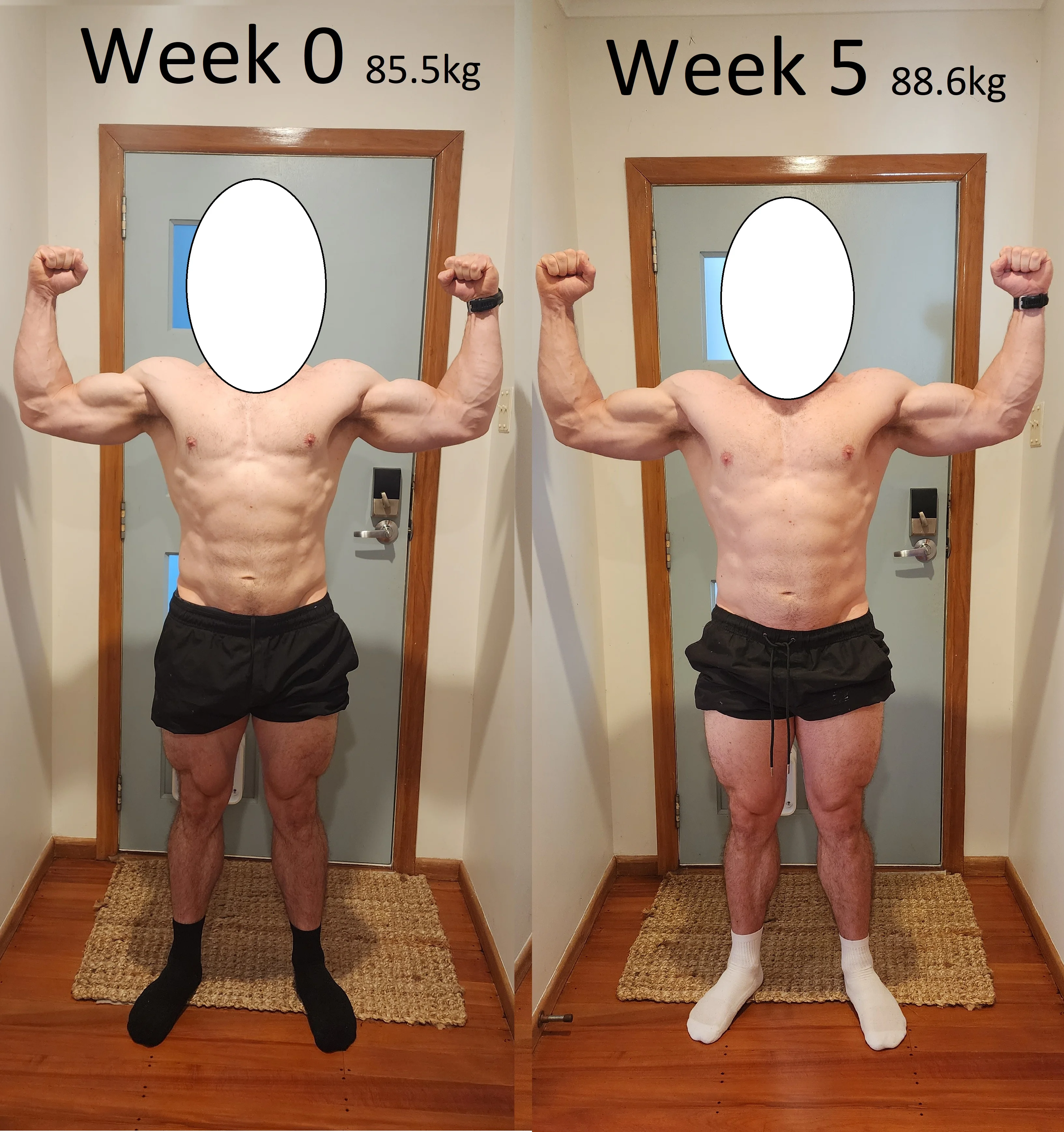Comparison 2.webp