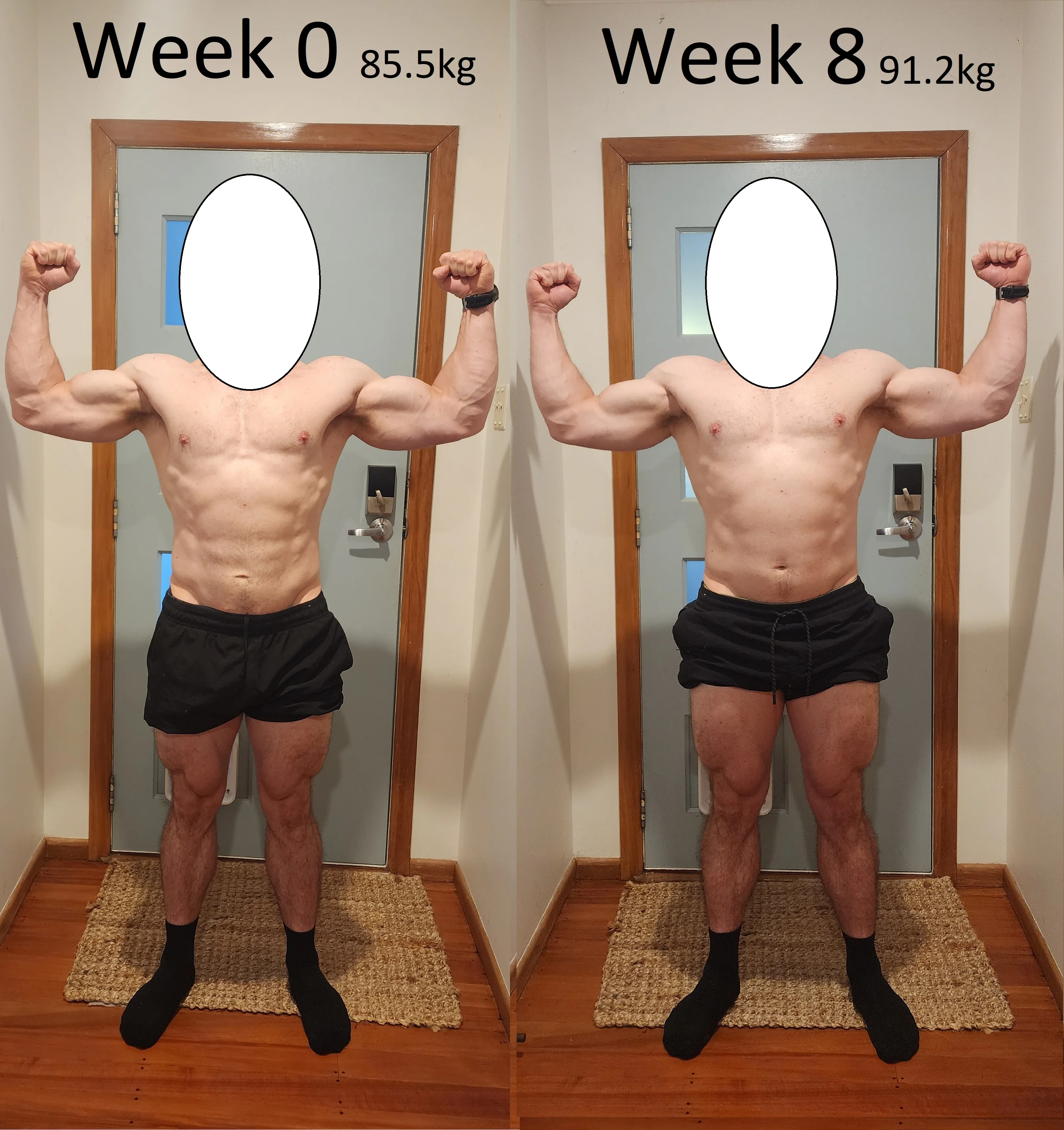 Comparison 2.webp