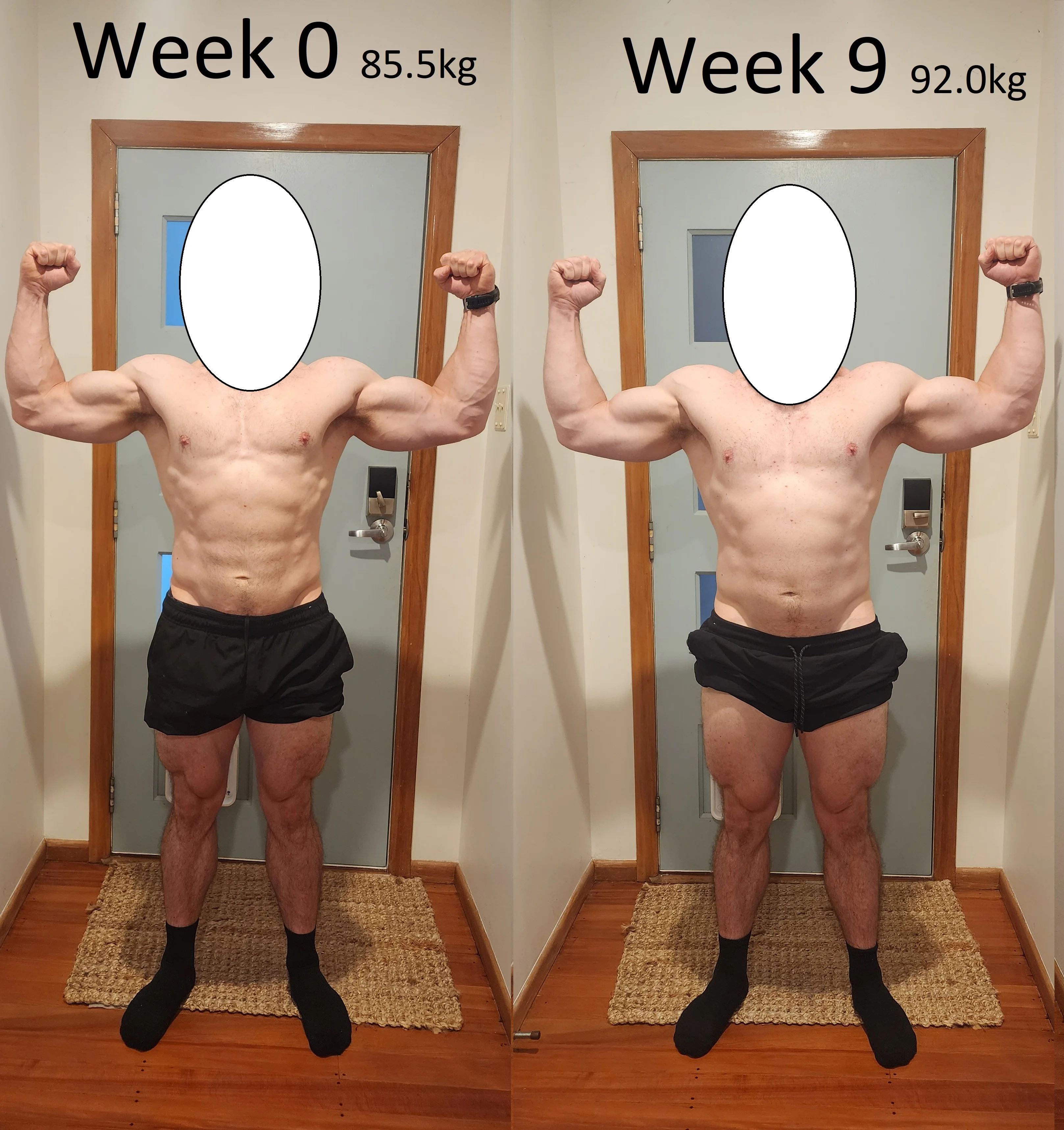 Comparison 2.webp