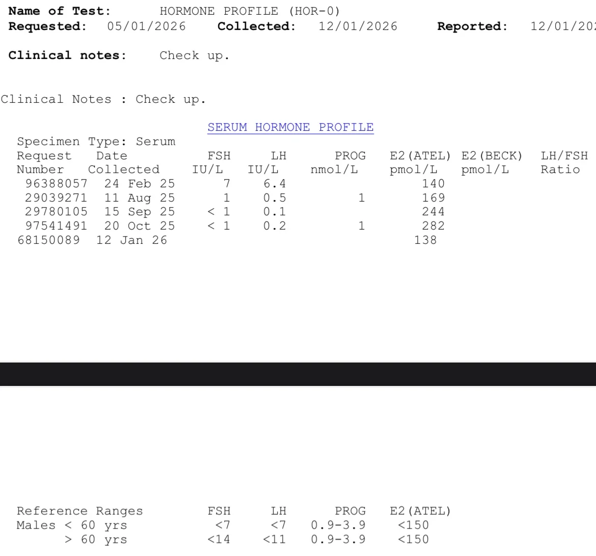 E2.webp