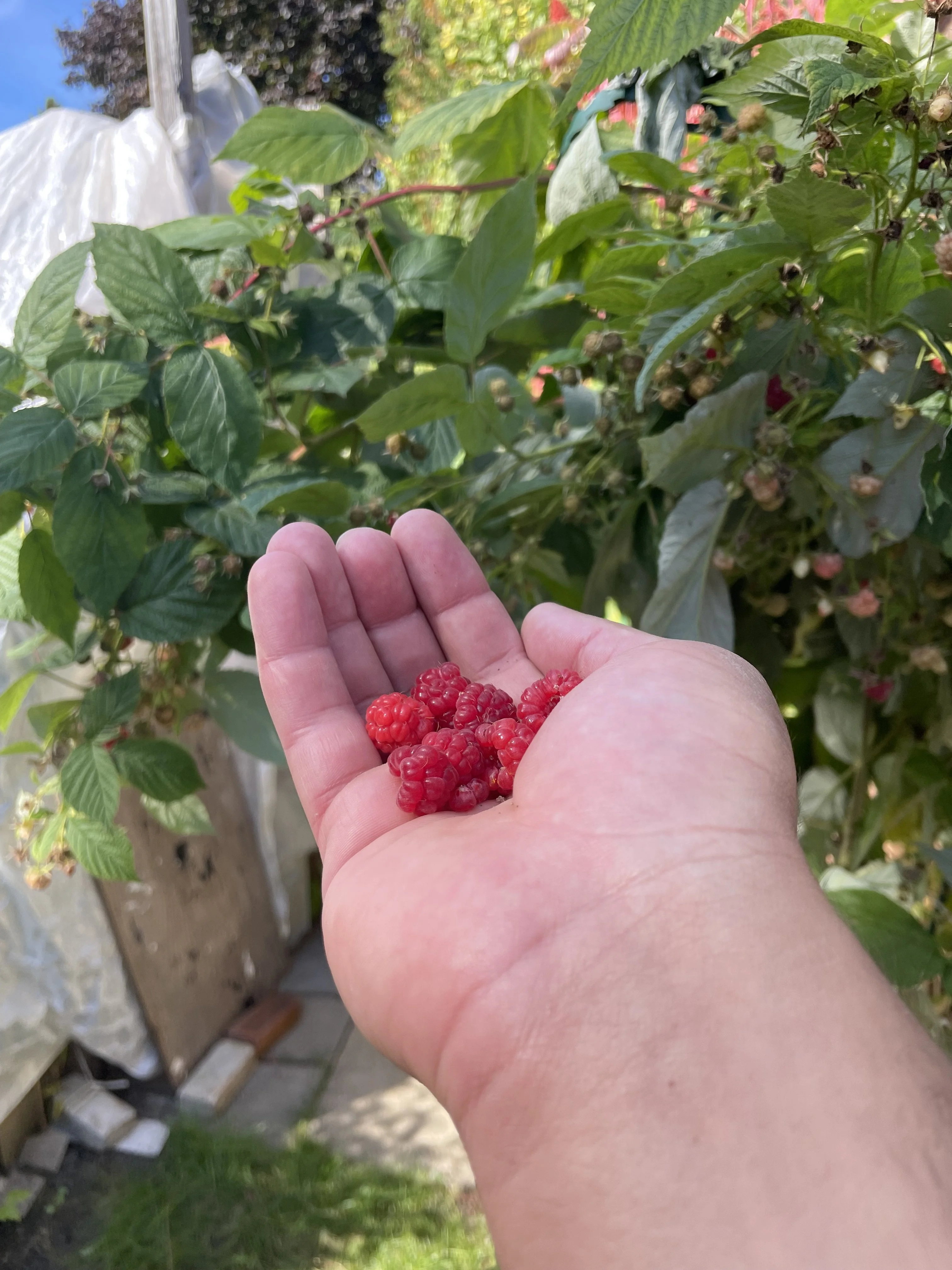 IMG_0121.jpeg