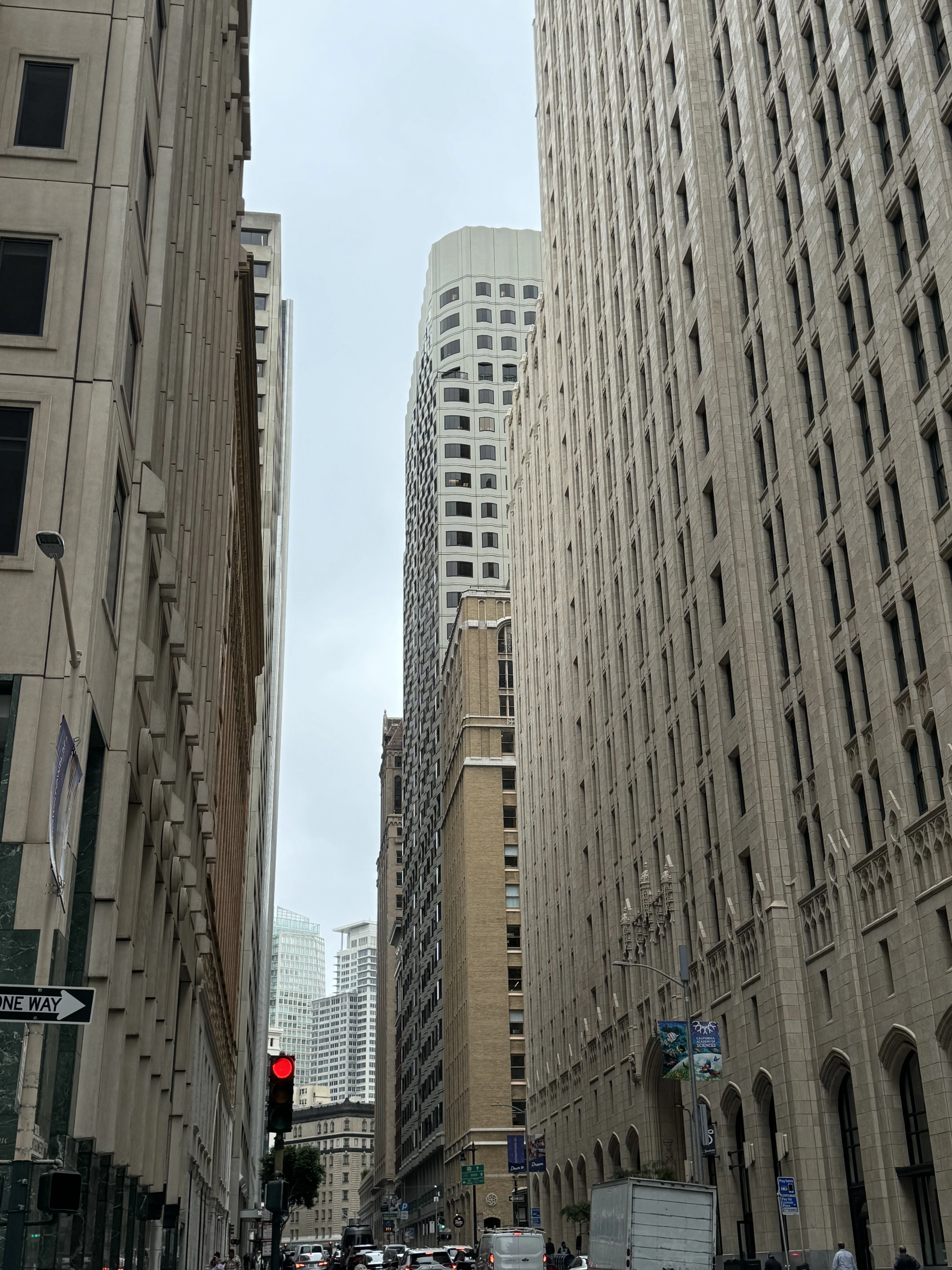 IMG_0868.jpeg