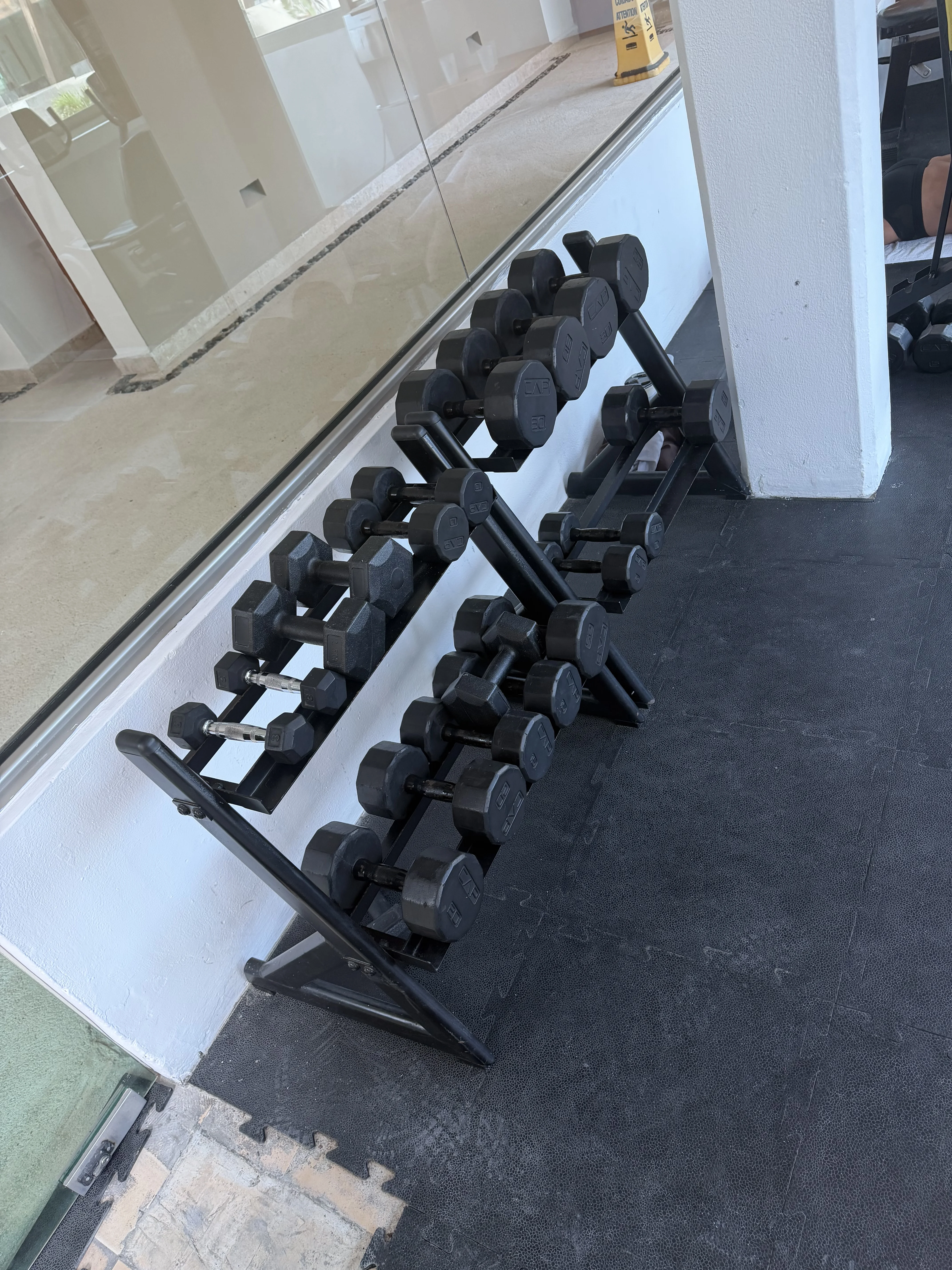 IMG_1413.webp