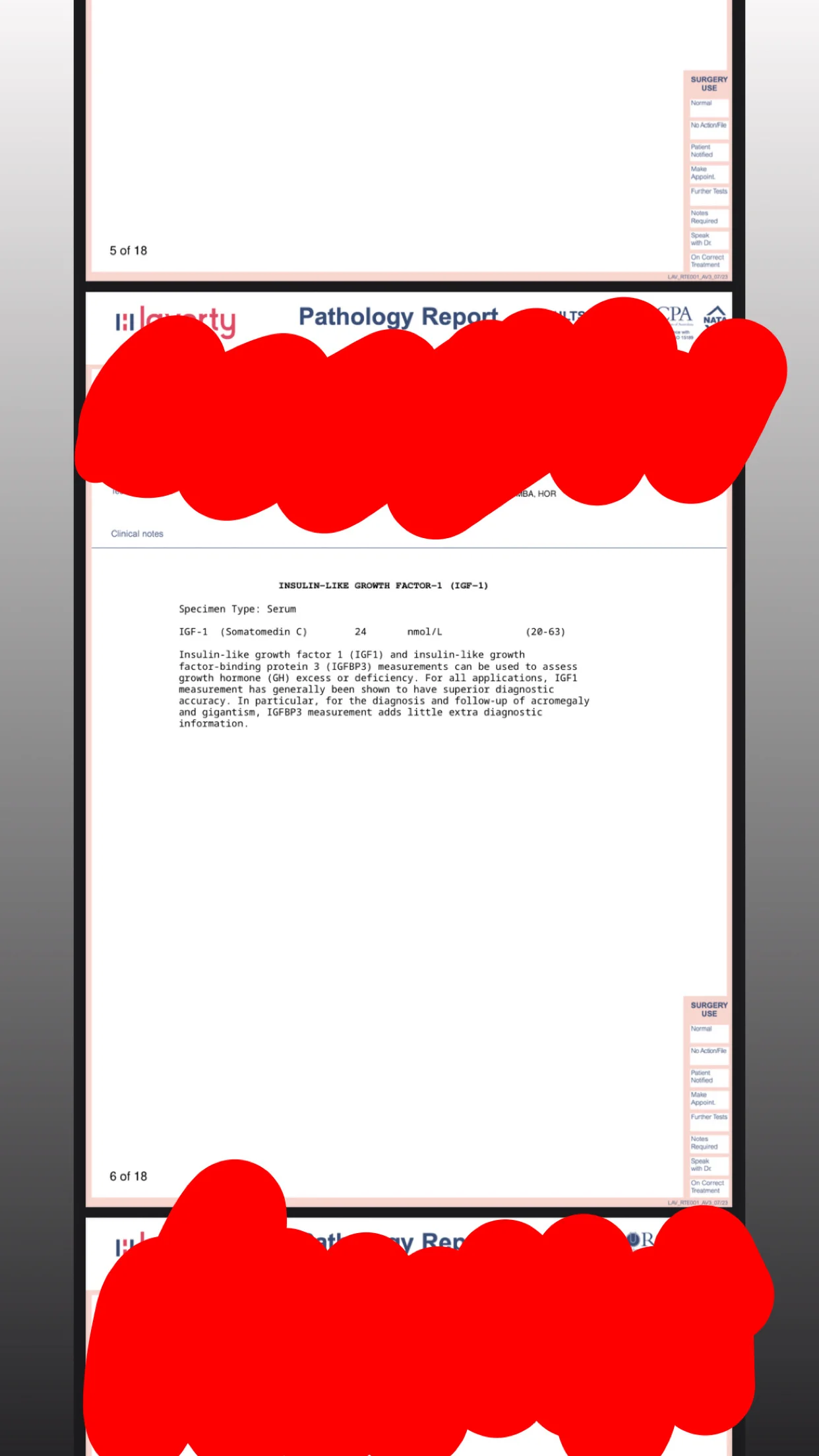 IMG_1754.webp