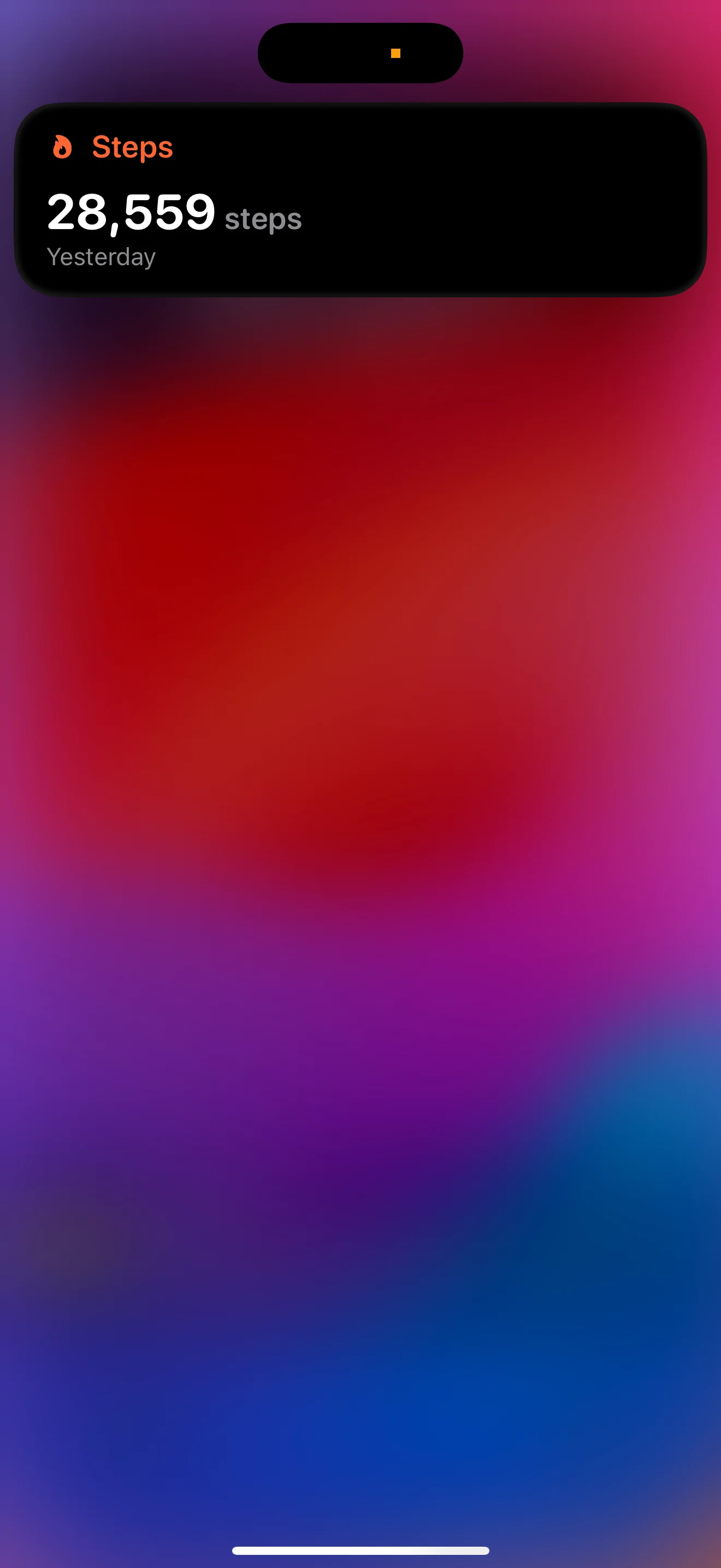 IMG_2800.webp