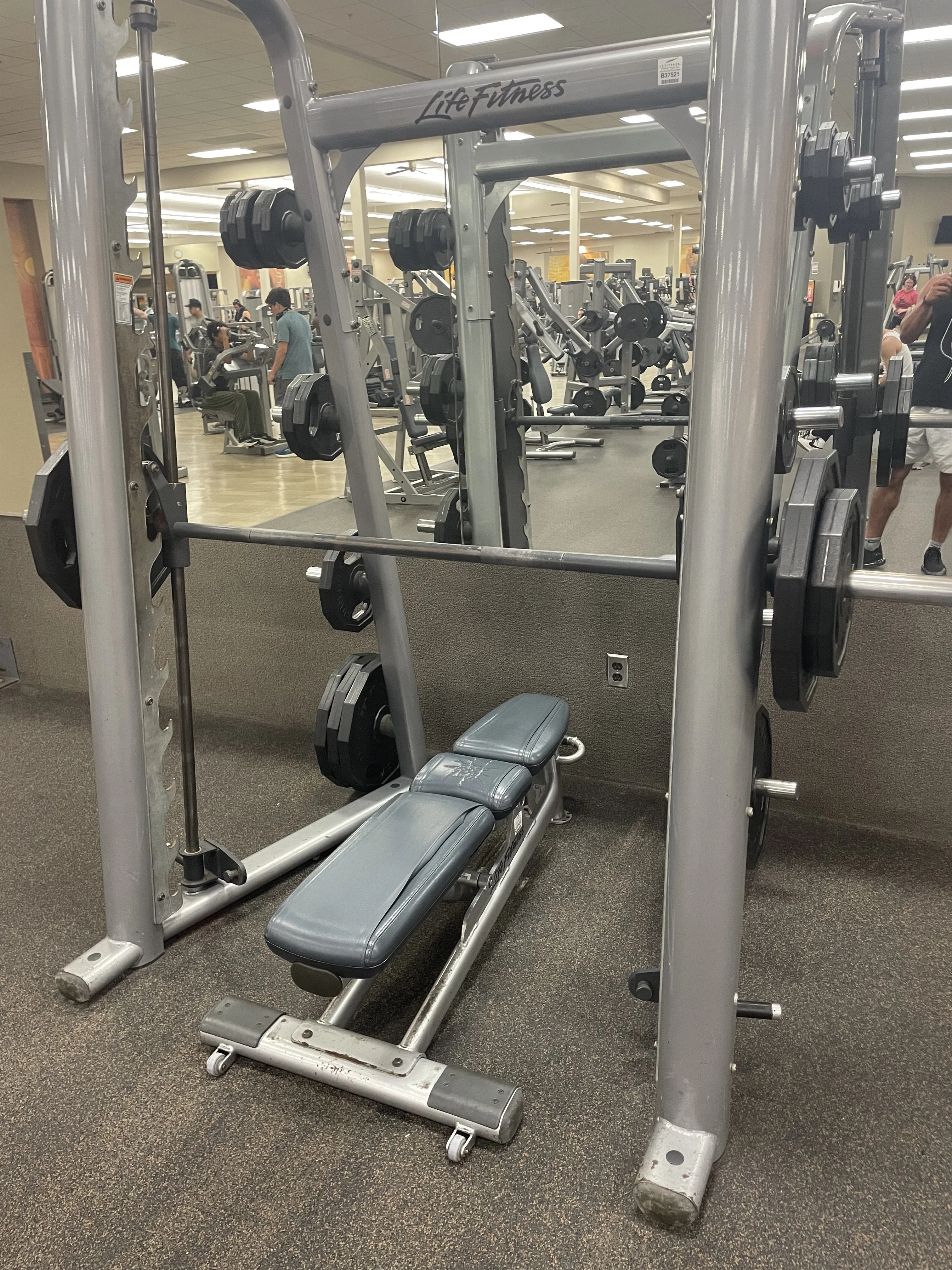 IMG_3317.jpeg