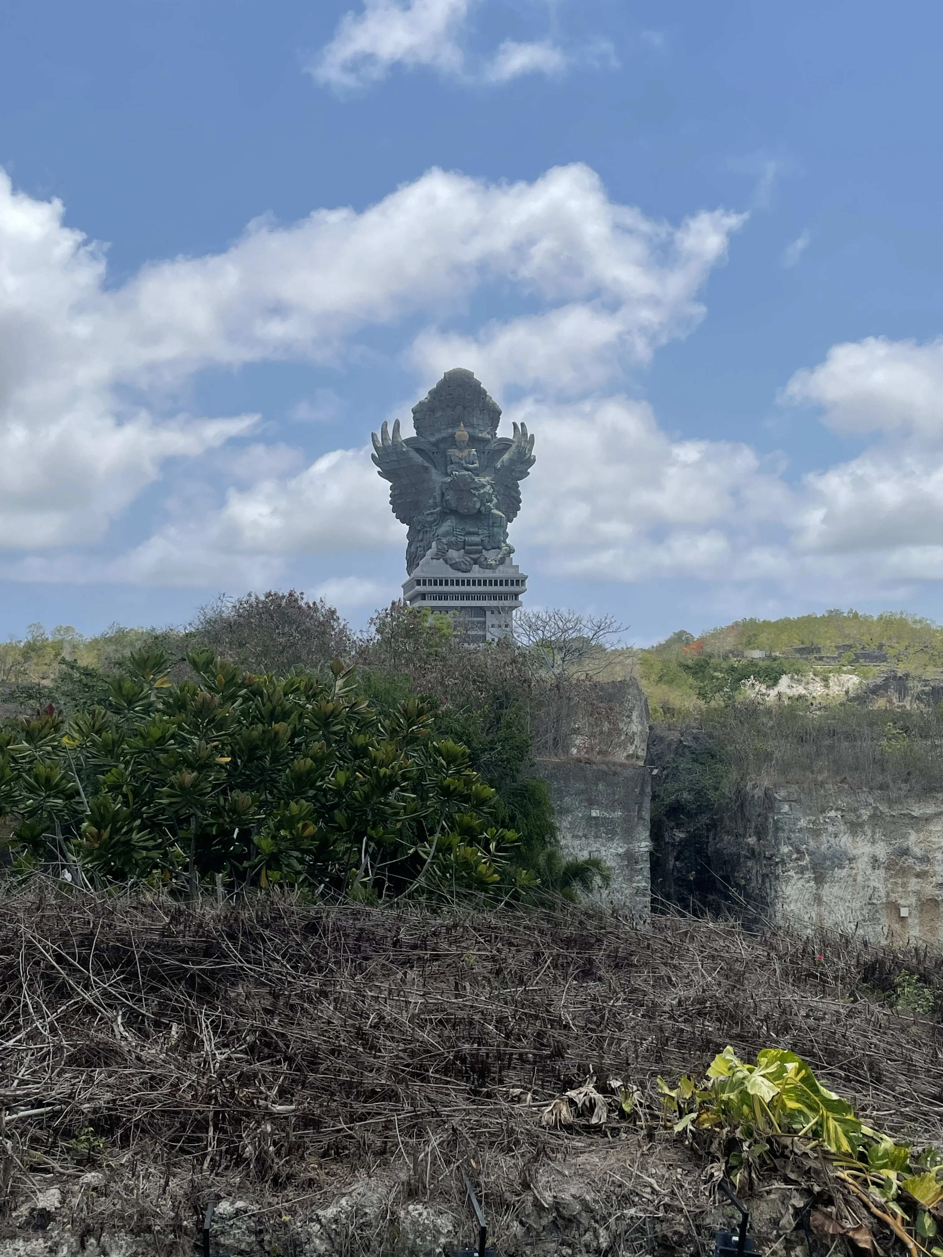 IMG_4433.jpeg