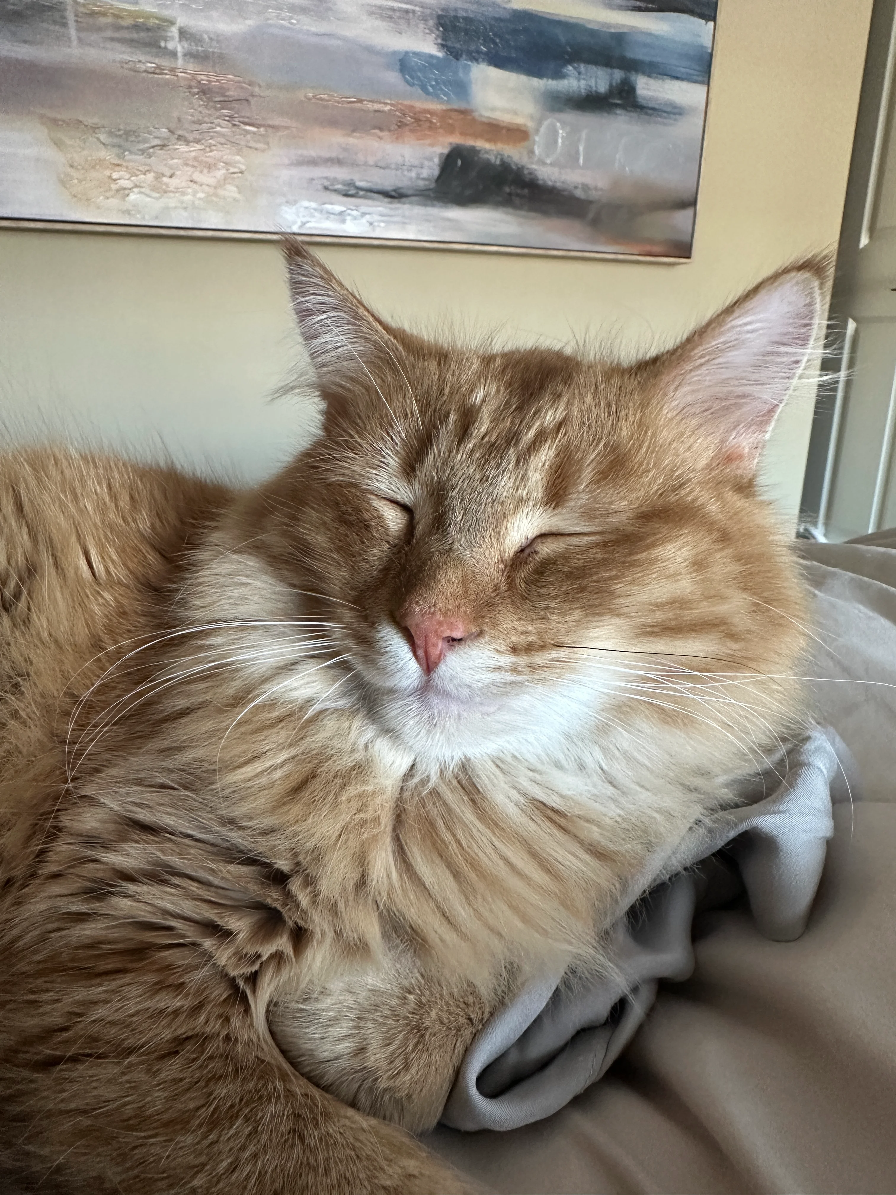 IMG_5717.webp