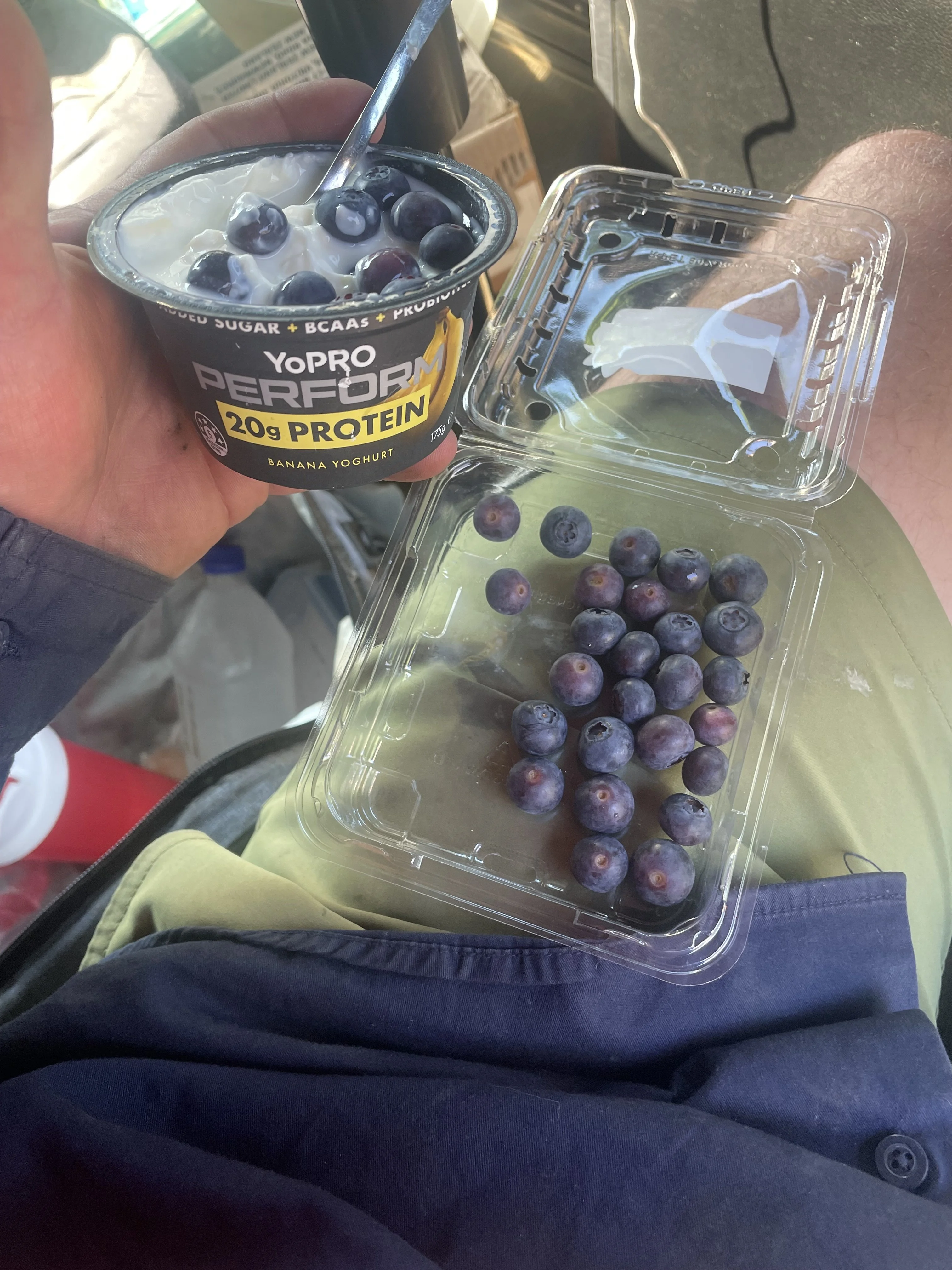 IMG_8105.jpeg