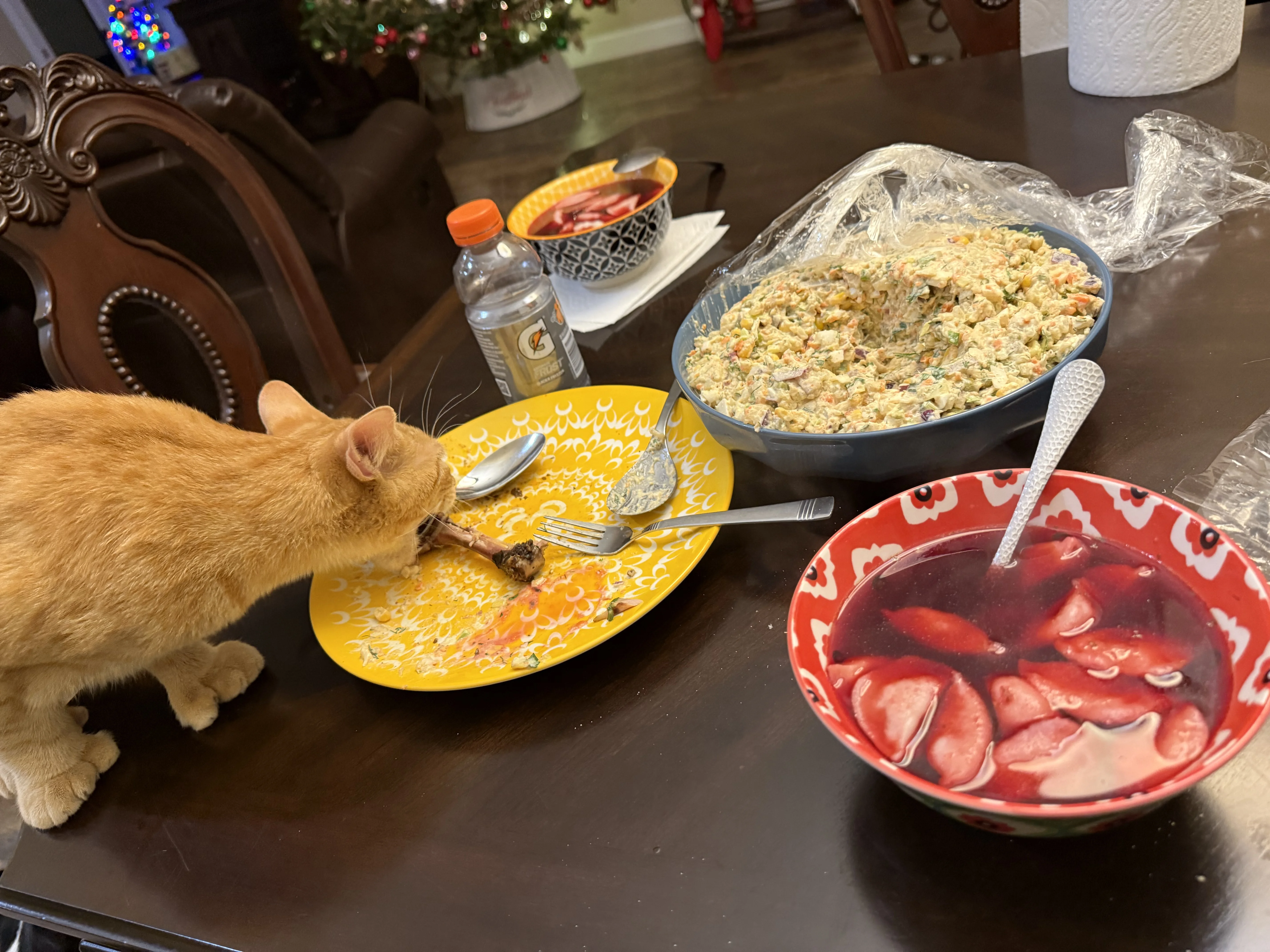 IMG_8653.webp