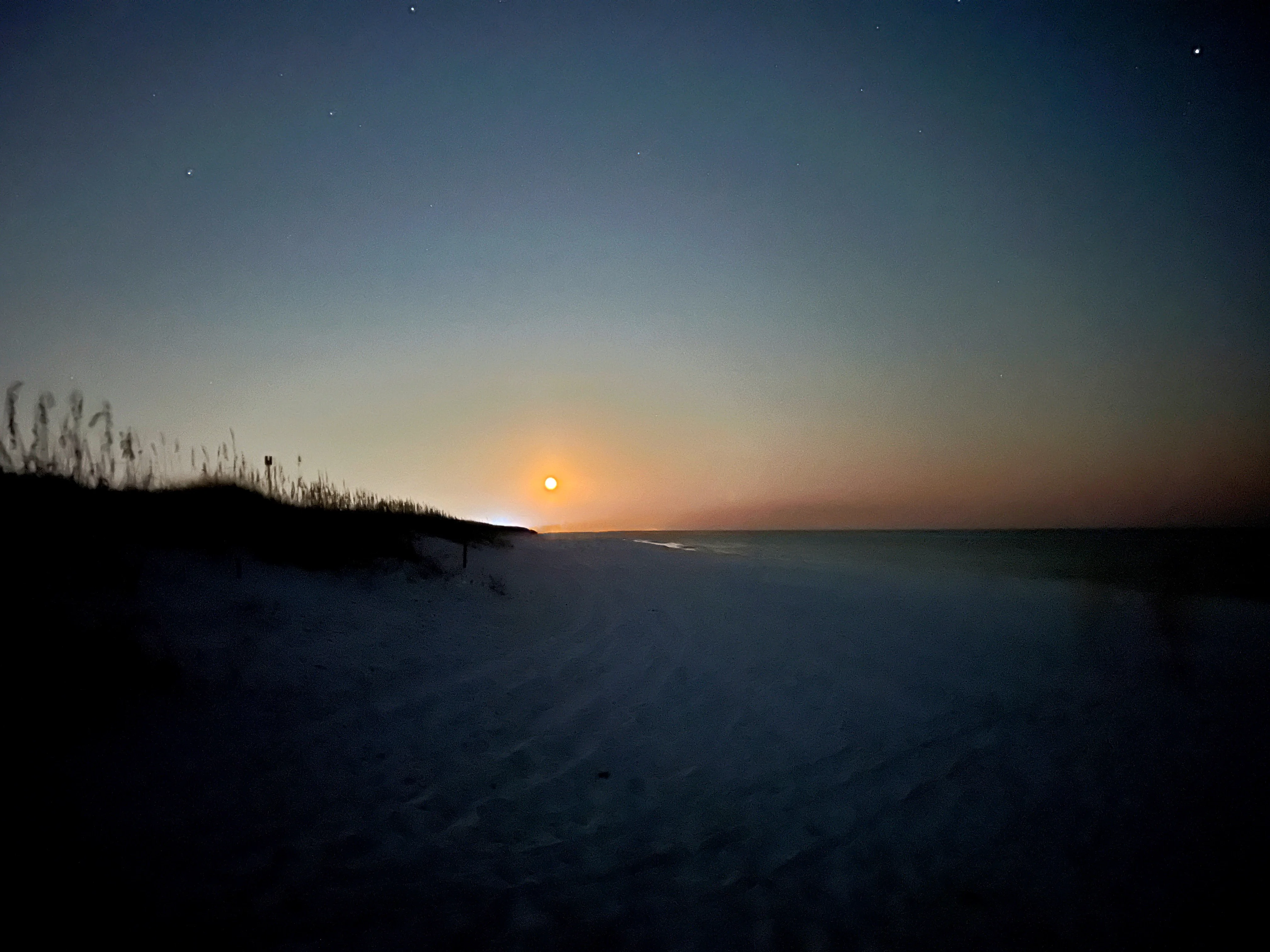 IMG_9009.jpeg