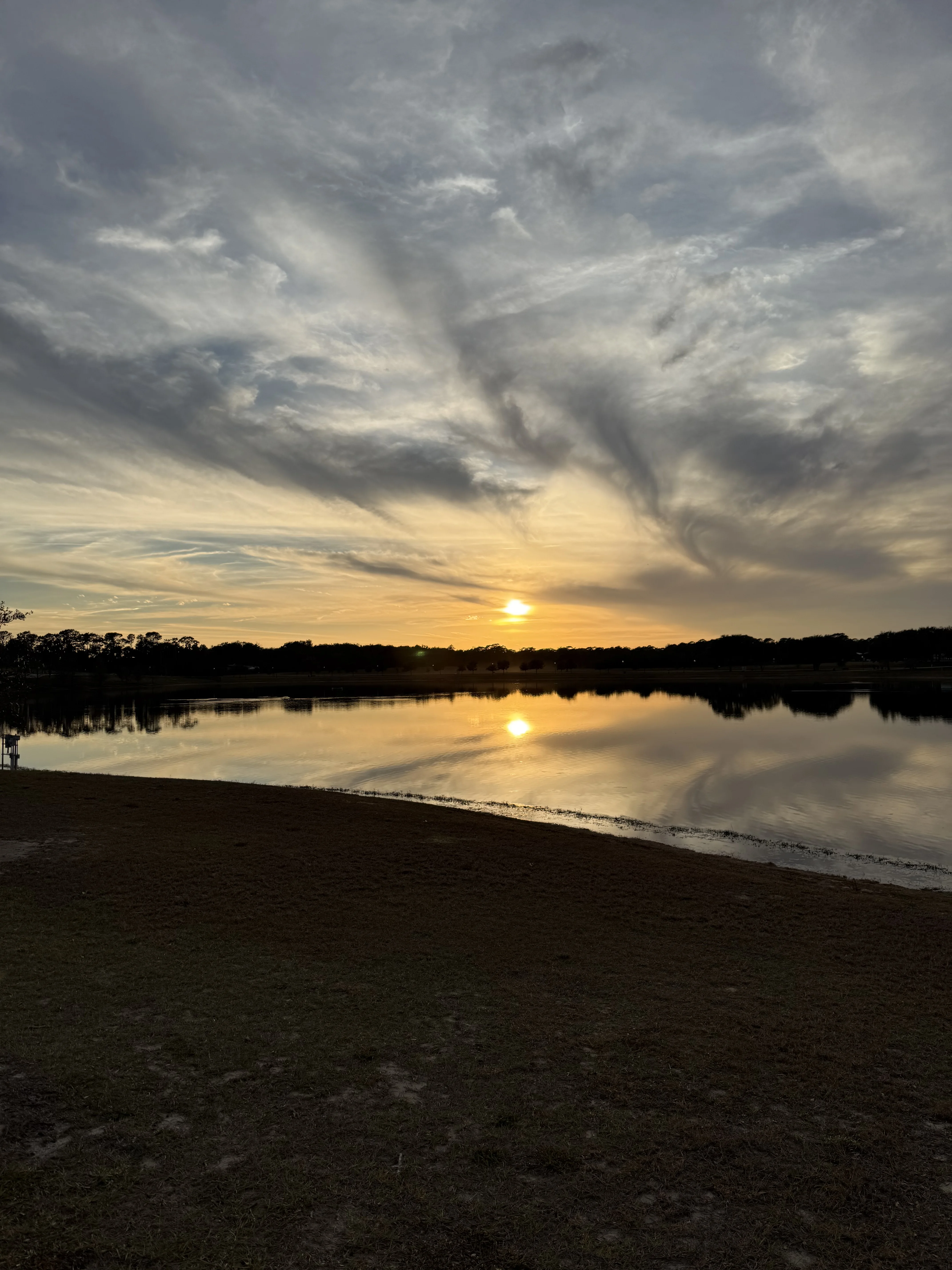 IMG_9459.webp