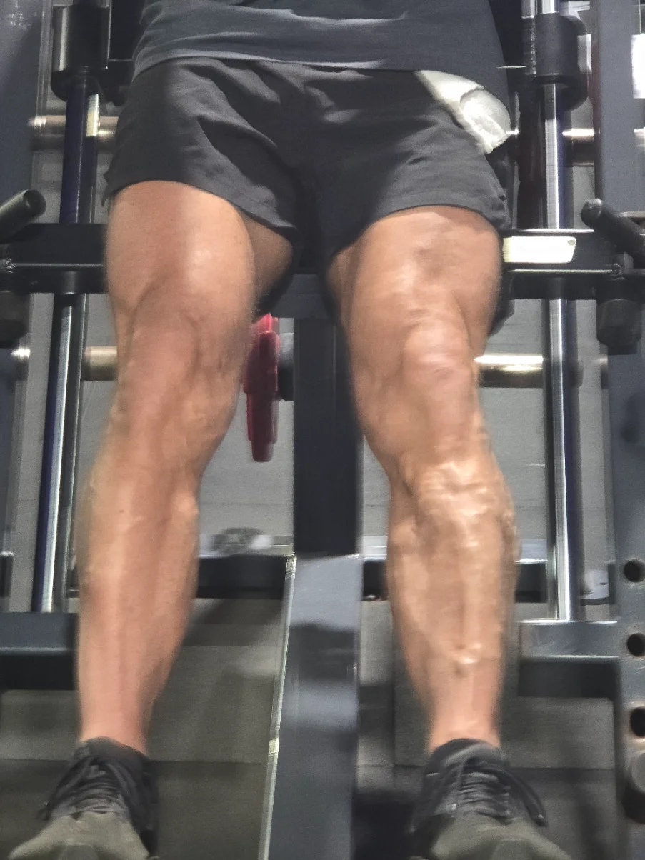 legs.webp