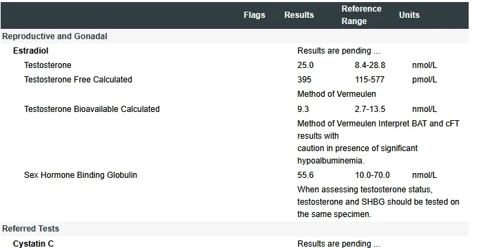 Second test lab.webp