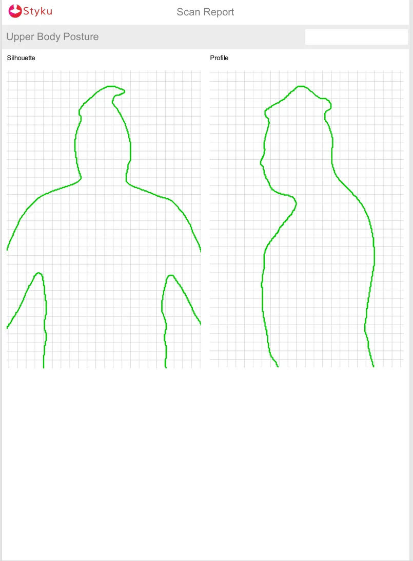 Styku-4.webp