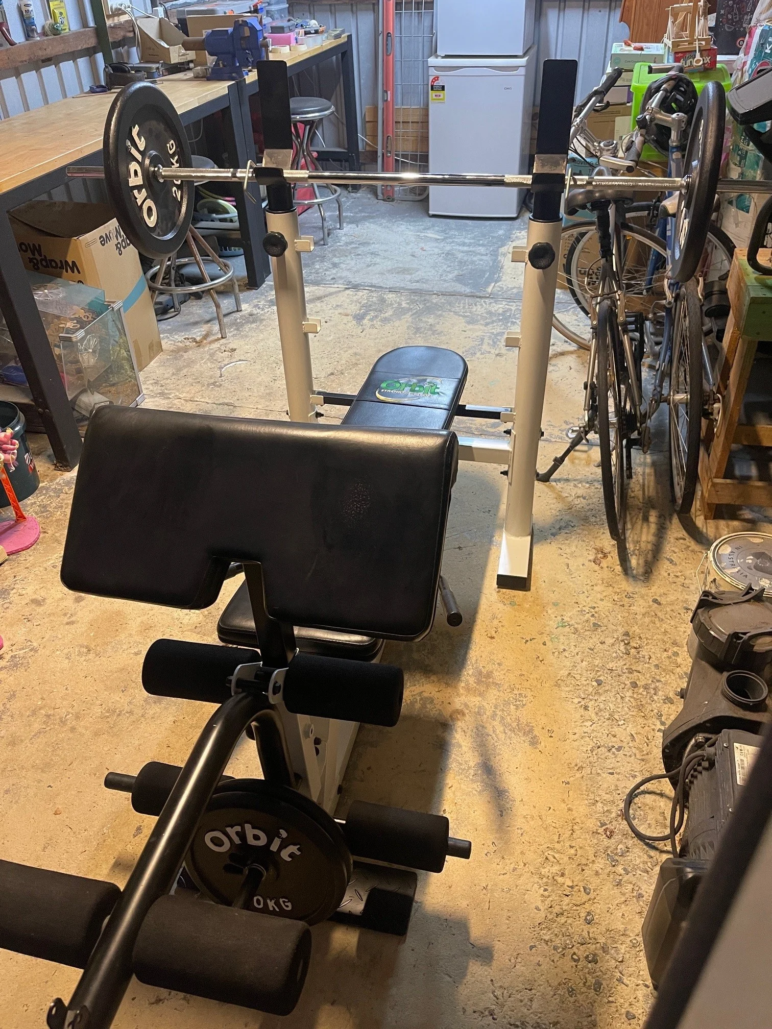 weight bench.webp