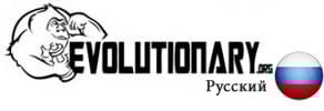 Анаболические стероиды - Evolutionary.org русский