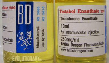 24 year old Testosterone Enanthate Cycle