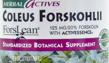 Coleus-Forskohlii