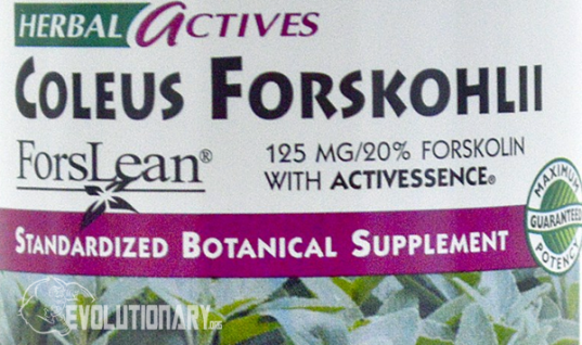 Coleus-Forskohlii