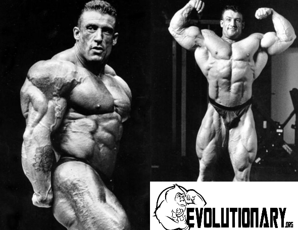SEARCH AND BUY THIS PRODUCT Bodybuilding is Disgusting - Evolutionary.org
