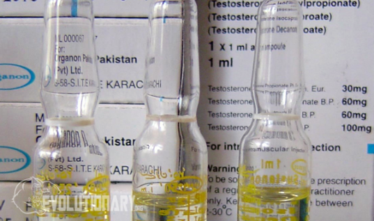 Sustanon 250