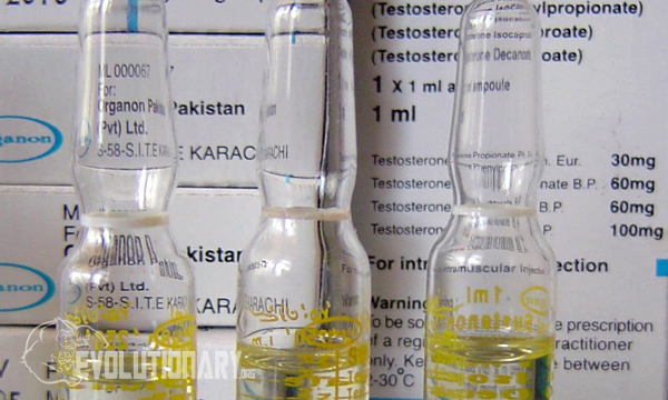 Sustanon 250 - TRT Steroid - Evolutionary.org Sustanon 250 - TRT Steroid - Evolutionary.org
