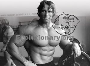 arnold schwarzenegger posing