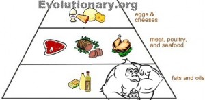 evolutionary diet food pyramid