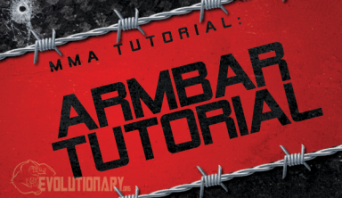 MMA Armbar Tutorial