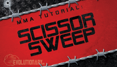 MMA Scissor Sweep Tutorial