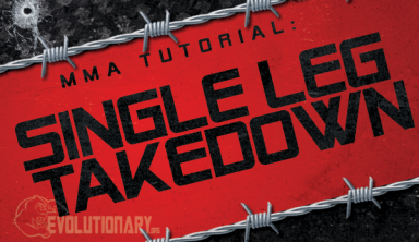 MMA Single Leg Takedown Tutorial