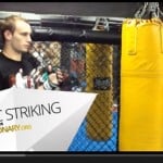basic striking mma
