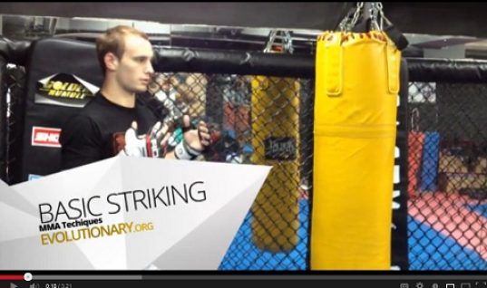basic striking mma