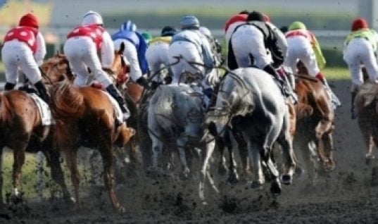 horseracing doping