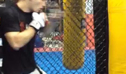mma-basic-striking-guide-150x150
