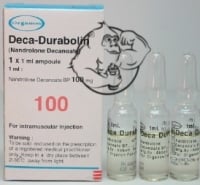 organon deca durabolin