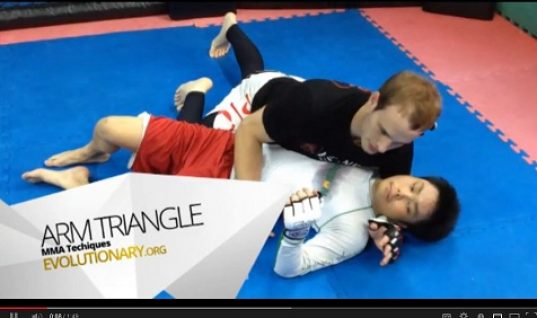 triangle choke