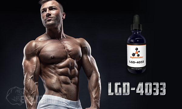 4033 lgd zsírvesztés