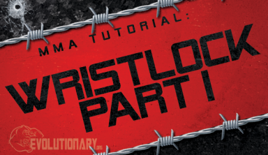 MMA Wristlock Tutorial