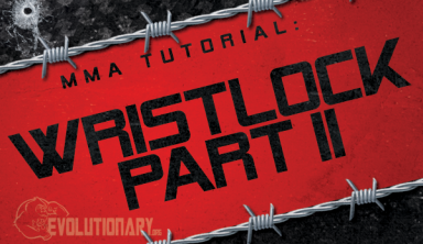 MMA Wristlock part 2 Tutorial