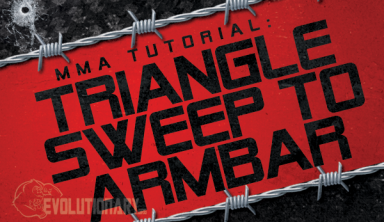 mma Triangle Sweep to Armbar tutorial