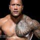 Dwayne Johnson Steroid Cycle