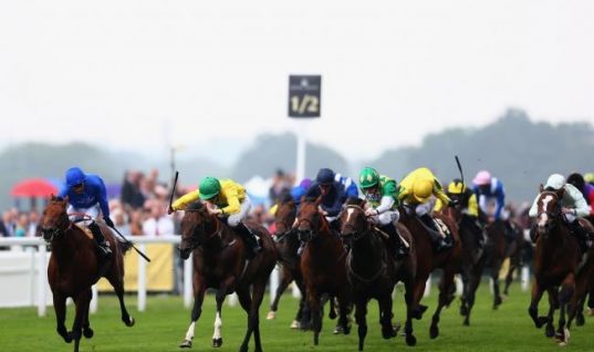 Doping Problem In Horseracing Denied By Trainers