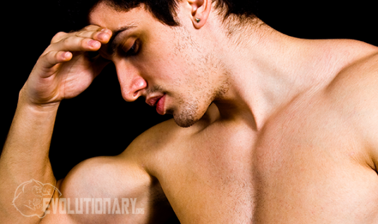 How-Testosterone-Supplementation-Shuts-Down-HPTA